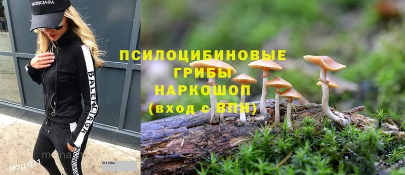 Псилоцибиновые грибы мухоморы  Белая Холуница 